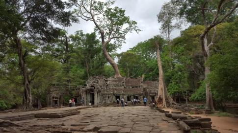 Ta Phrom-the jungle temple